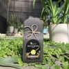 Tropical Bliss Coconut Delight Soap Bar